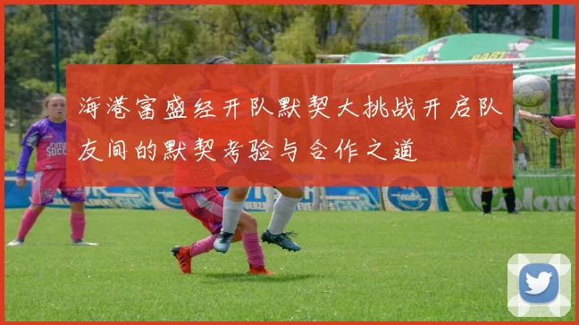 海港富盛经开队默契大挑战开启队友间的默契考验与合作之道
