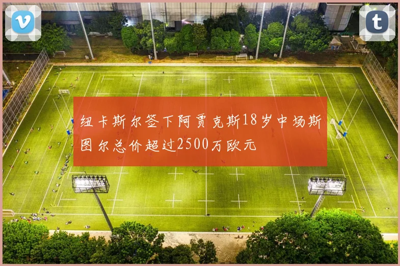 纽卡斯尔签下阿贾克斯18岁中场斯图尔总价超过2500万欧元