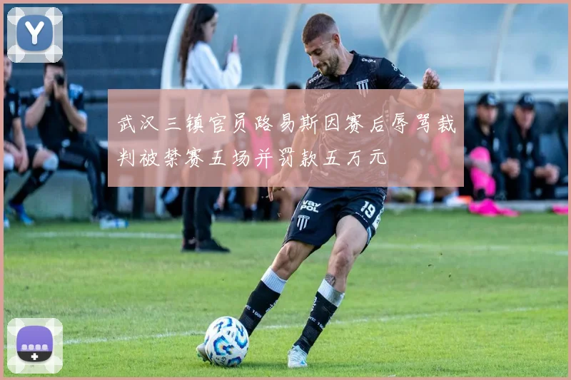 武汉三镇官员路易斯因赛后辱骂裁判被禁赛五场并罚款五万元